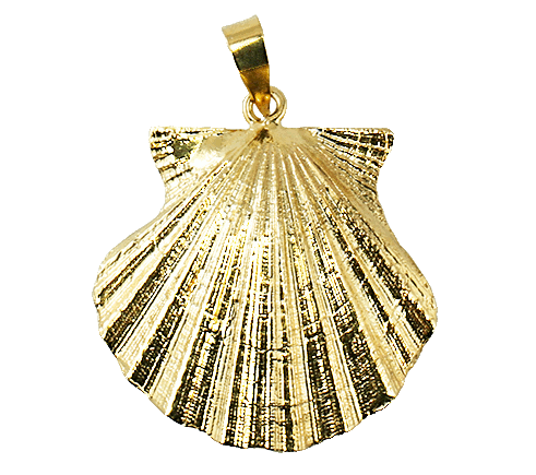 Scallop Large